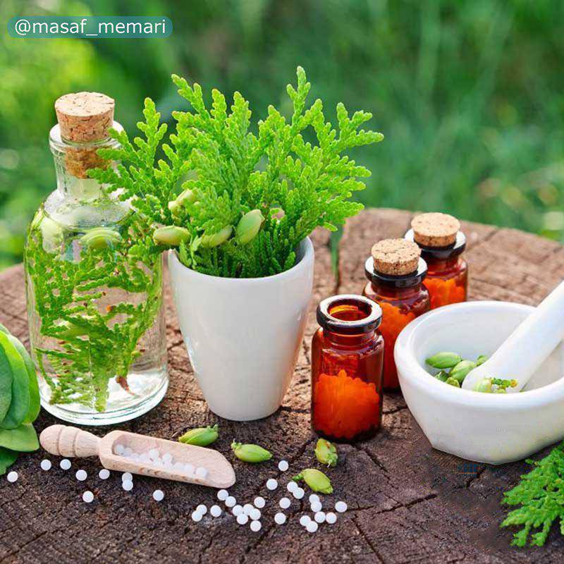 استفاده از گیاهان دارویی در طراحی فضای سبز شهری | تاثیرات گیاهان فضای سبز بر شهر